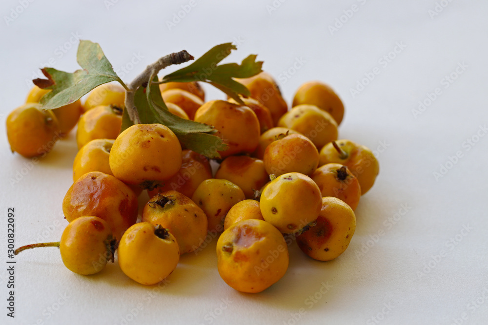 Hawthorn fruit