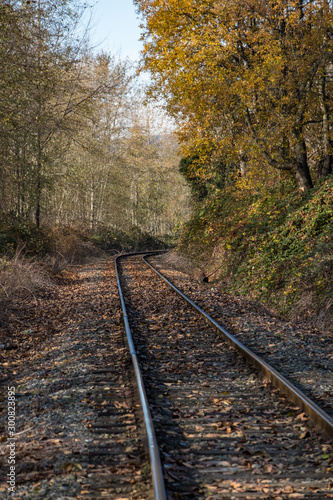 railway track covered by fall leaves near the park with trees and bushes on both side with beautiful autumn colour