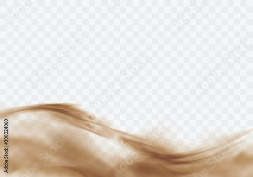 Desert sandstorm, brown dusty cloud or dry sand flying with gust of wind, brown smoke realistic texture with small particles or grains vector illustration isolated on transparent background