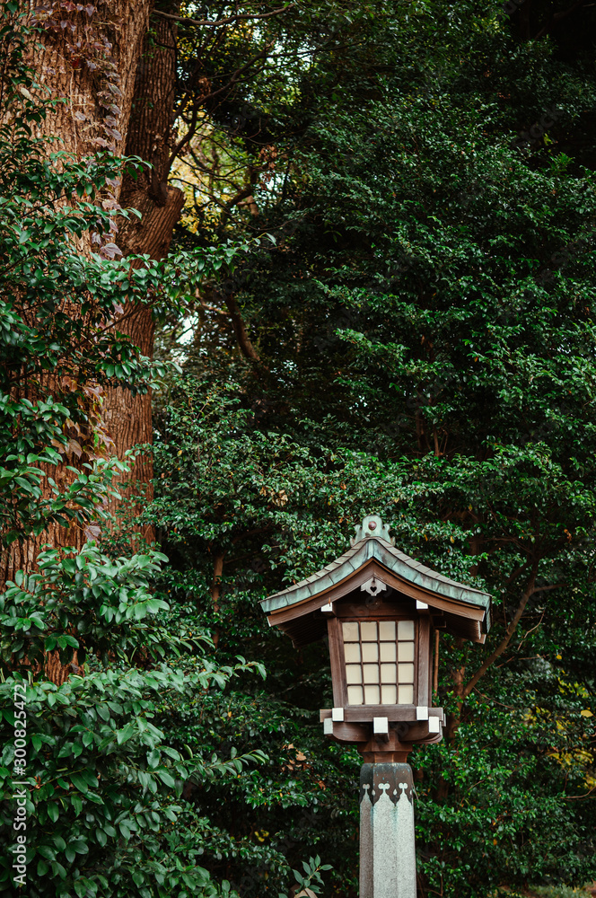 Japanese lamp of Meiji Jingu Shrine under big tree in shrine forest park Tokyo. Japanese lamp of Meiji Jingu Shrine under big tree in shrine forest park Tokyo.
