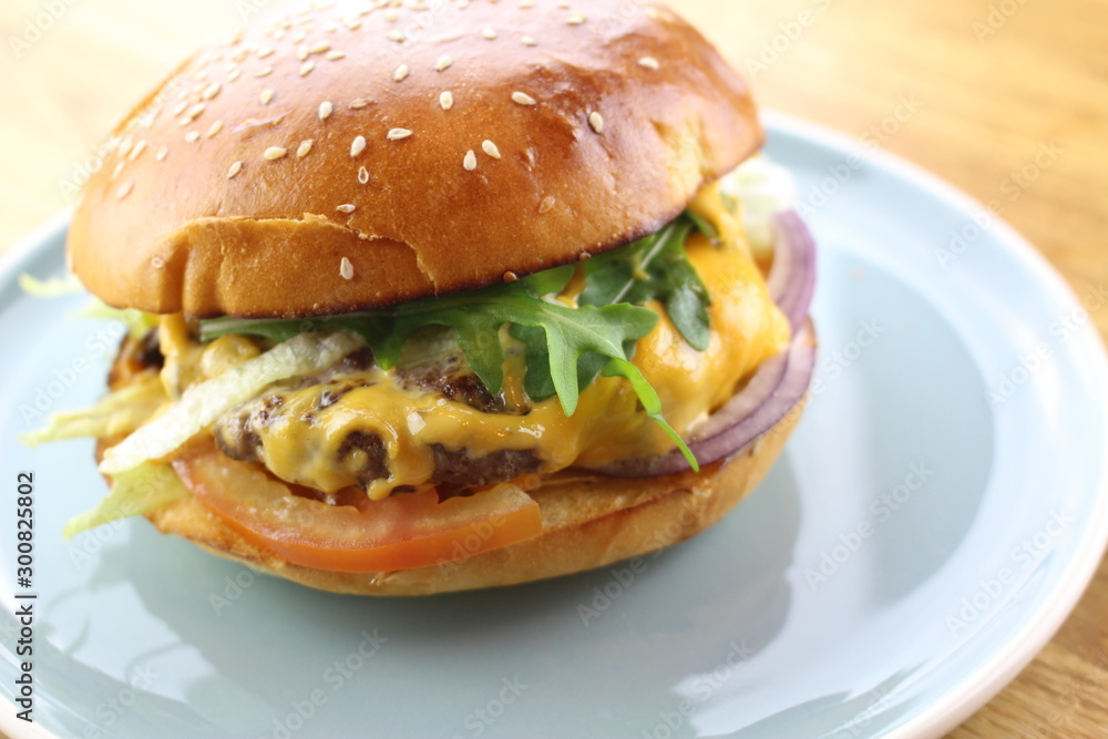 Delicious classic burger isolated on a white plate. Delicious classic burger isolated on a white plate.