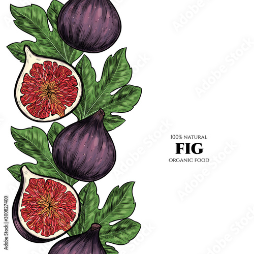 Vector frame with figs. Hand drawn. Vintage style