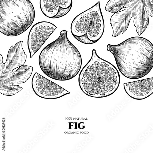 Vector frame with figs. Hand drawn. Vintage style