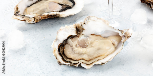 A large oyster, fresh and raw, a panoramic close-up shot with ice