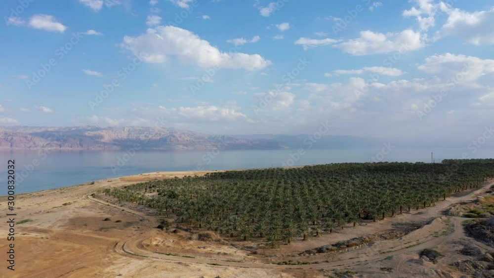 Aerial fly down toward Palm Plantation with the Dead Sea in the background, Drone shot Aerial fly down toward Palm Plantation with the Dead Sea in the background, Drone shot