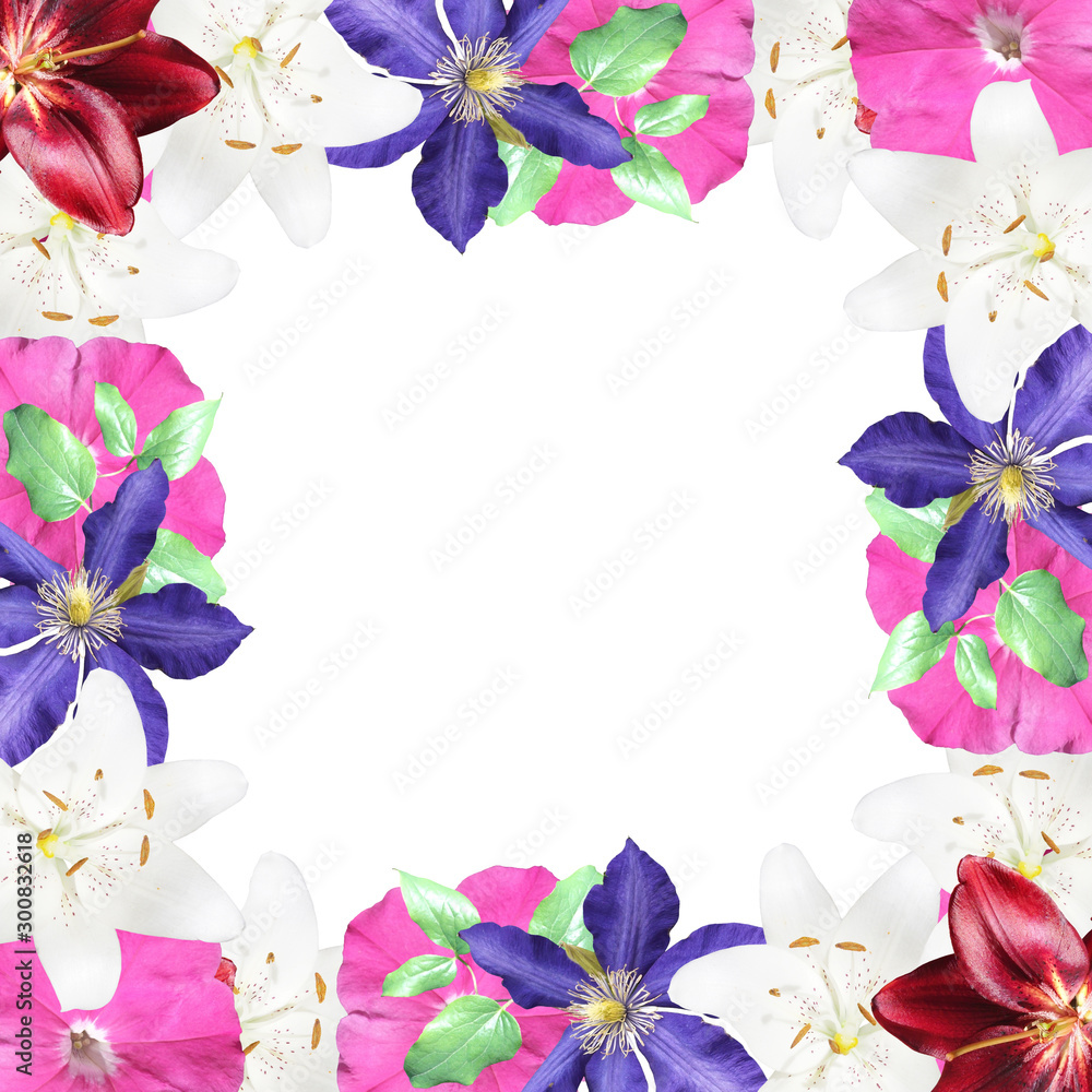 Beautiful floral background of clematis, lilies and petunias. Isolated