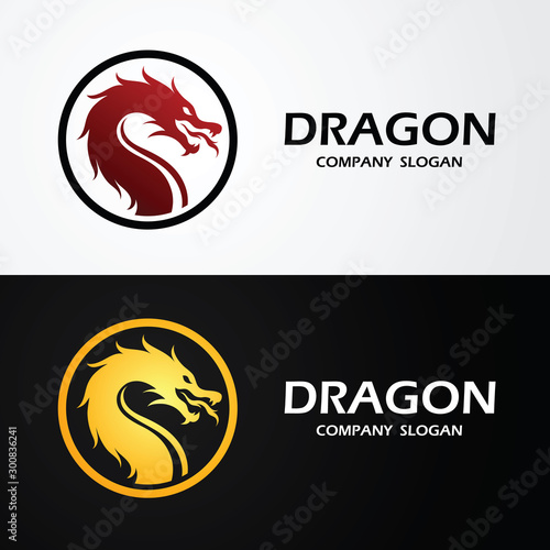 Fototapeta Naklejka Na Ścianę i Meble -  Dragon logo vector