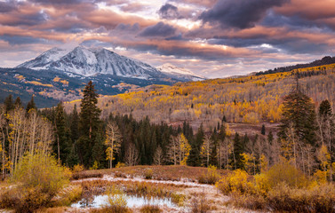 Autumn in Colorado