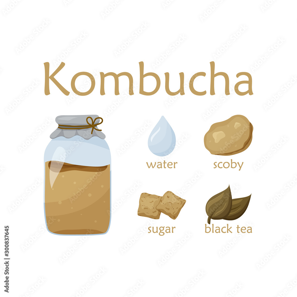 Recipe for healthy kombucha. Flat food vector illustration. Cartoon hand  drawn detox tea. Glass jar with scoby and ingredients. Sugar, water, tea,  chinese mushroom on white background. Color poster Stock Vector