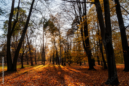 Park Konstytucji 3 Maja w Bia  ymstoku  Jesie   w parku  Bia  ystok  Podlasie