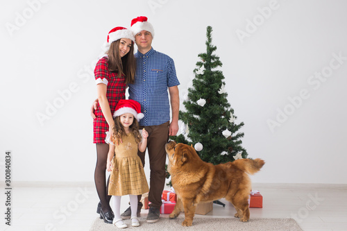 Pet, holidays and festive concept - Family with dog are standing near christmas tree. © satura_
