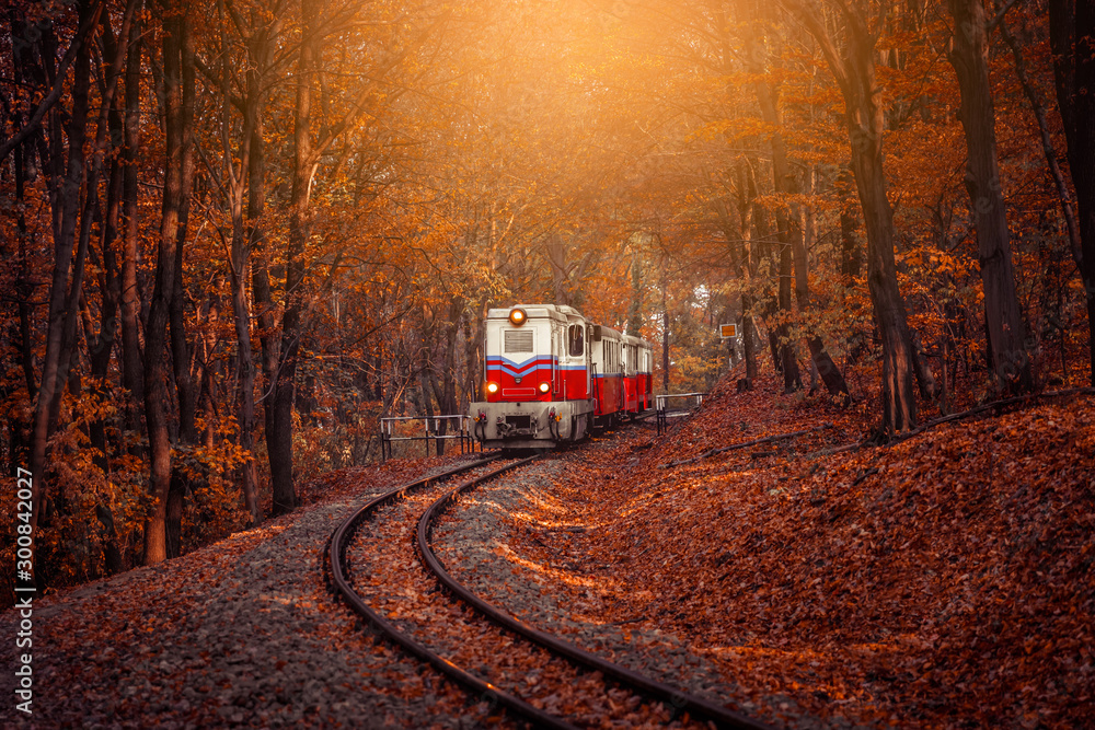 Red and white diesel train coming in the autumn forest in Budapest, beautiful sunshine colors and fallen leaves in the background. Retro style image