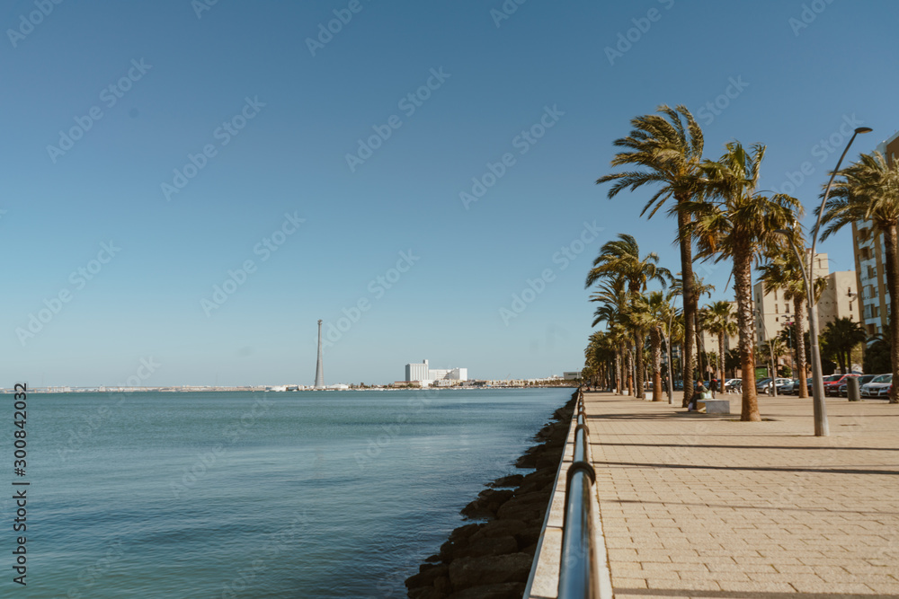 scenery. the sea is completely calm and the promenade with palm trees. very beautiful