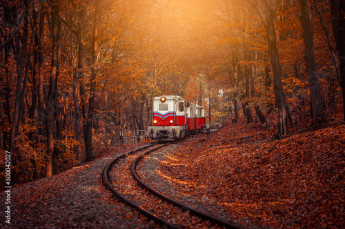 Red and white diesel train coming in the autumn forest in Budapest, beautiful sunshine colors and fallen leaves in the background. Retro style image