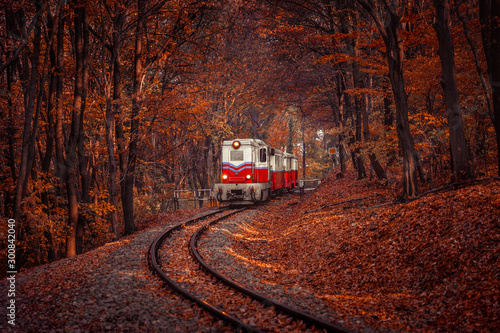 Red and white diesel train coming in the autumn forest in Budapest, beautiful colors and fallen leaves in the background. Retro style image