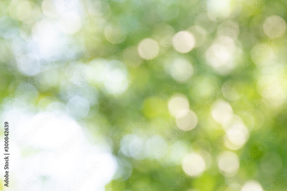 Natural green bokeh abstract background Natural green bokeh abstract background