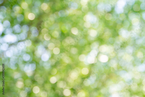 Natural green bokeh abstract background © tendo23