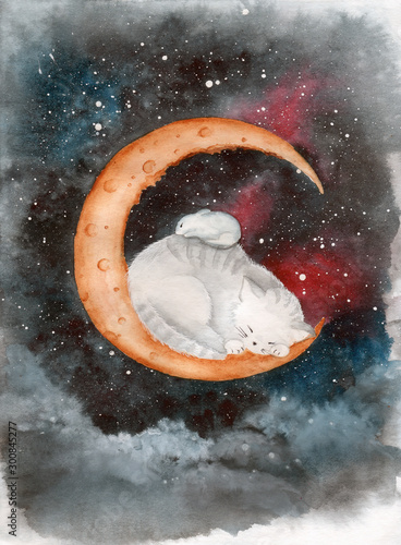 Принти на полотні Watercolor picture of a cat and  a mouse sleeping on the crescent  moon with st