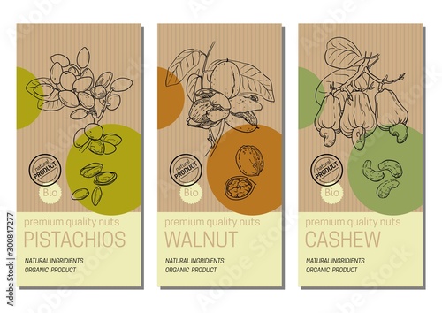 Vector set of labels with nuts sketches: pistachios, walnut, and cashew. Healthy food, bio, organic, natural product. Craft paper packaging
