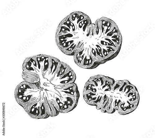 Ink drawing, sliced beefsteak tomatoes