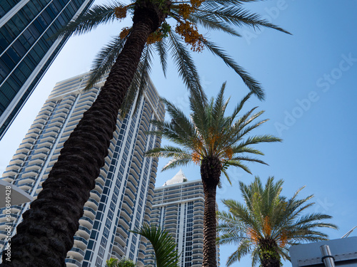 Miami South Beach - Palmen und Gebäude © fotosuchtphotography