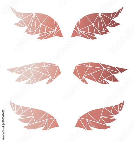 Set with abstract geometry polygonal wings, low poly vector illustration, rose gold wings on white background