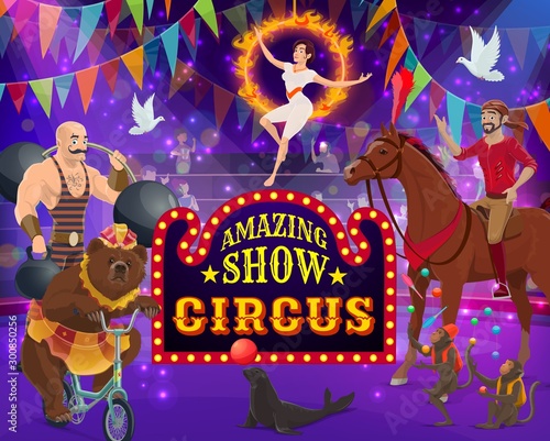 Big top circus show. Trained animals, performers