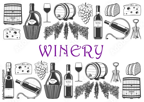 Wine production and winery items. Vineyard, grape