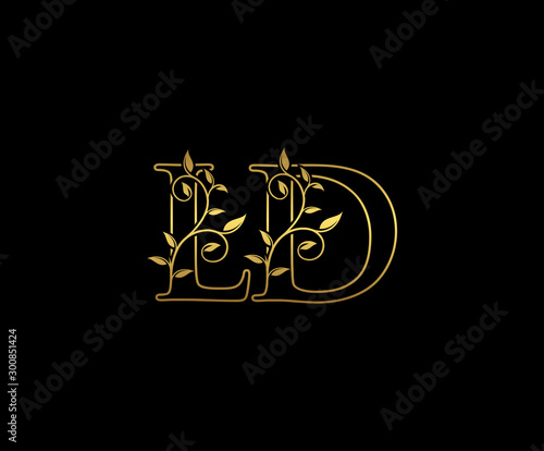 Golden letter L and D, LD vintage decorative ornament emblem badge, overlapping monogram logo, elegant luxury gold color on black background. photo