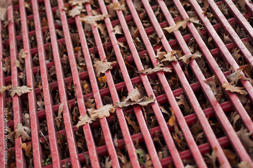 Closeup of autumnal leaves fallen on metallic grid in the street Closeup of autumnal leaves fallen on metallic grid in the street