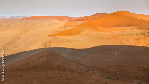 Dune 45 on the way to Deadvlei and Sossusvlei at the end of the day  Namibia