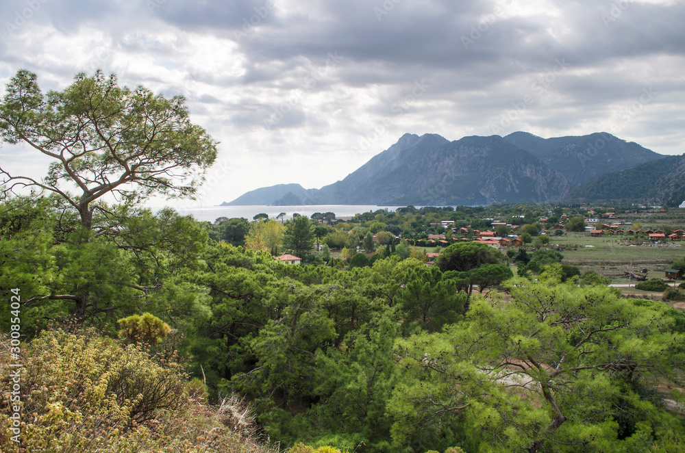Fototapeta premium Mountain vegetation on the Mediterranean coast