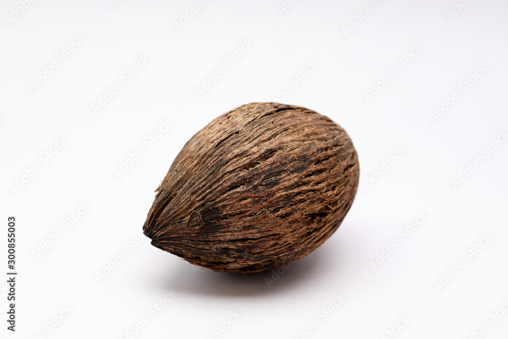 Cerbera odollam,pong pong seed Cerbera odollam,pong pong seed