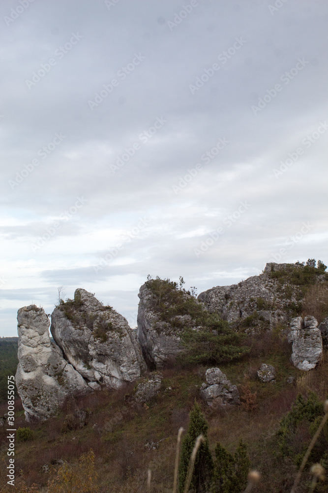 Vertical mountain landscape of limestone cliffs against a blue sky. The Zborow Massif in Central Poland on the Krakow-Czestochowa Upland