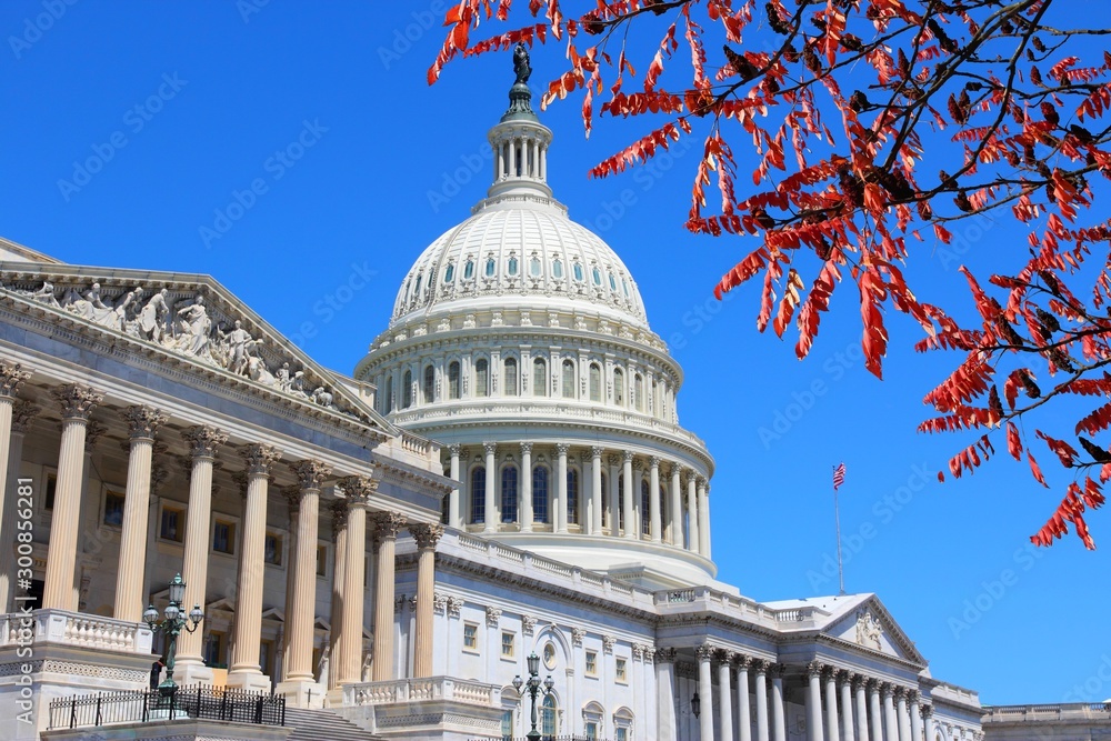 US Capitol in Washington DC. Autumn leaves.