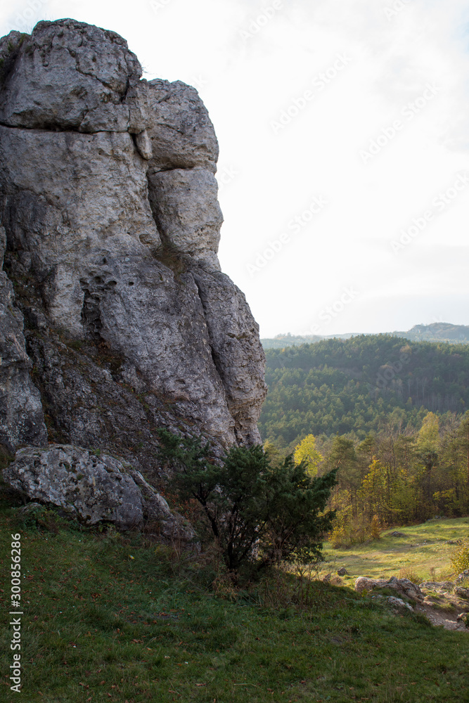 Vertical mountain landscape of limestone cliffs against a blue sky. The Zborow Massif in Central Poland on the Krakow-Czestochowa Upland
