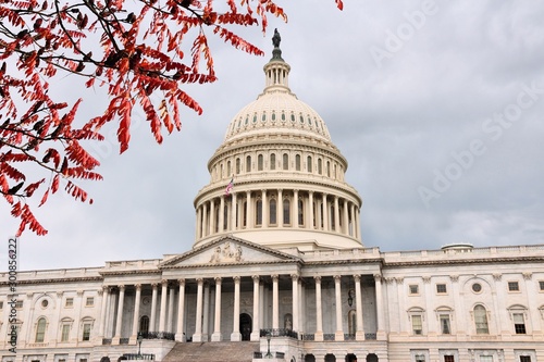 National Capitol. Autumn leaves.