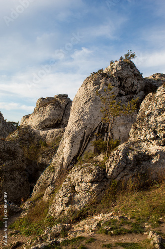 Vertical mountain landscape of limestone cliffs against a blue sky. The Zborow Massif in Central Poland on the Krakow-Czestochowa Upland © Olena