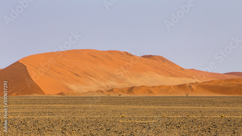 Dune 45 on the way to Deadvlei and Sossusvlei at the end of the day  Namibia