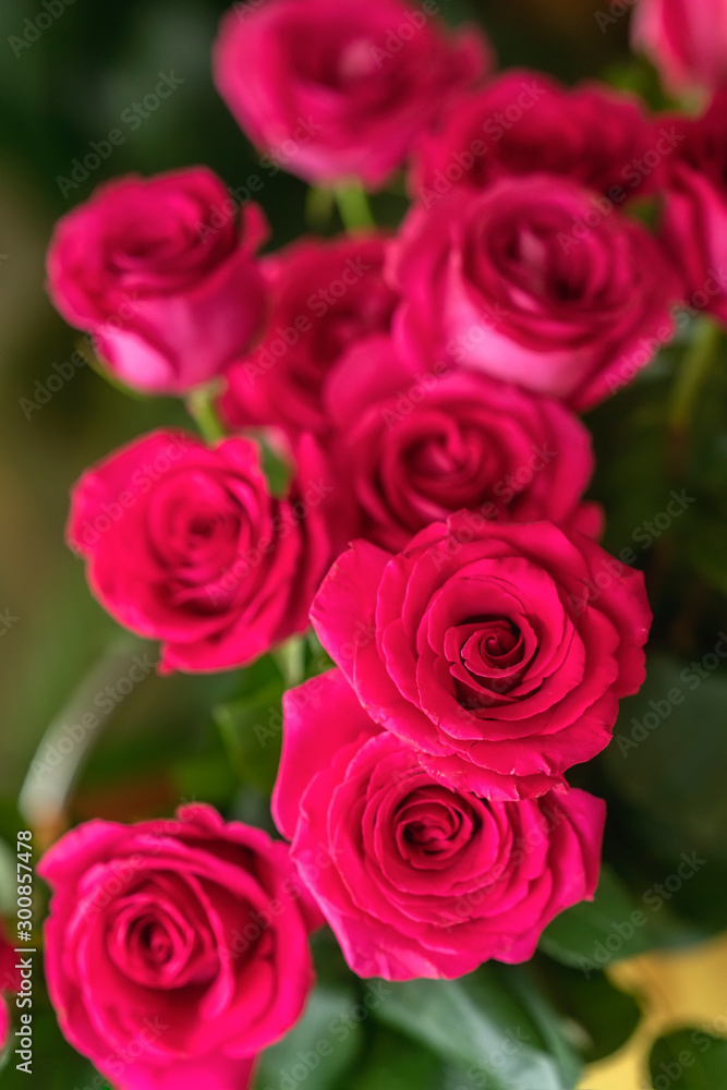 Bouquet of red roses for beloved, symbol of love, romantic celebrations. Valentine's Day, wedding, engagement. Bright background Bouquet of red roses for beloved, symbol of love, romantic celebrations. Valentine's Day, wedding, engagement. Bright background