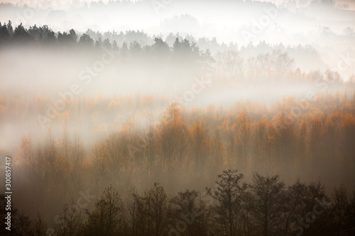 Piękno Jesiennego lasu © Wojciech Lisiński