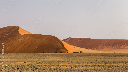 Dune 45 on the way to Deadvlei and Sossusvlei at the end of the day, Namibia