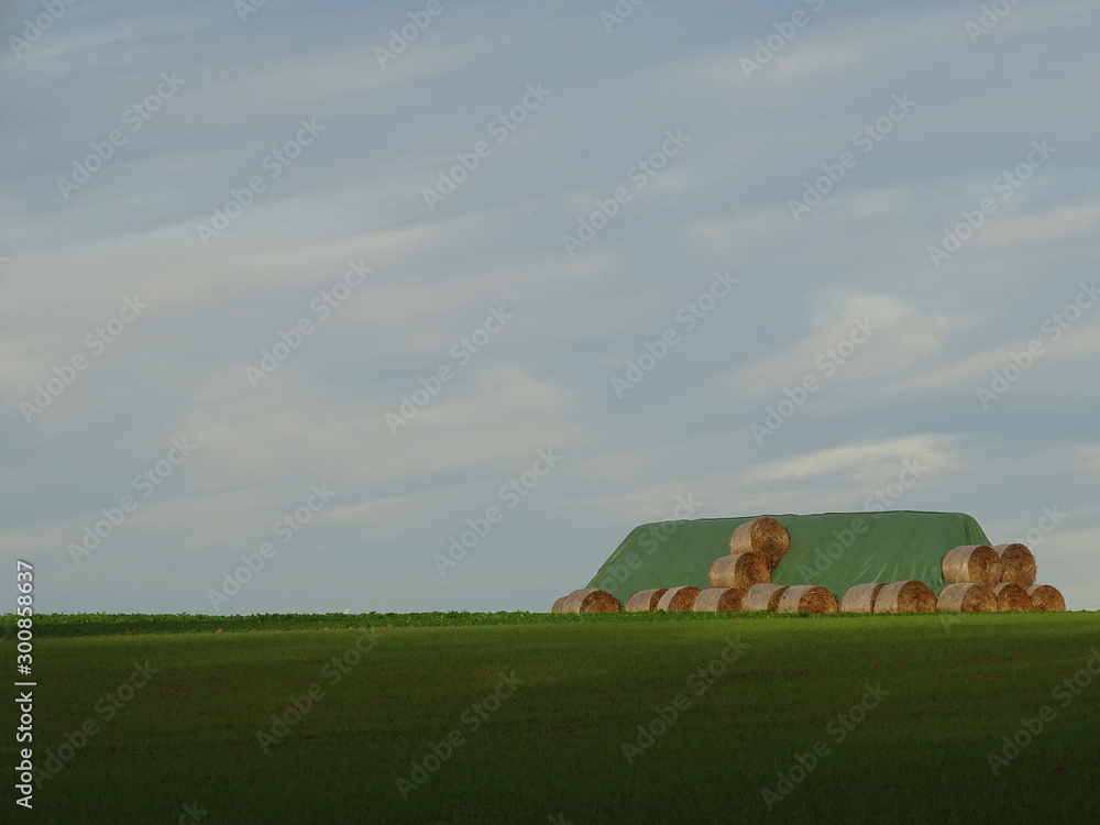 Obraz premium Überbleibsel der Getreideernte