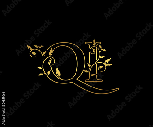 Gold letter Q and I, QI vintage decorative ornament emblem badge, overlapping monogram logo, elegant luxury gold color on black background.