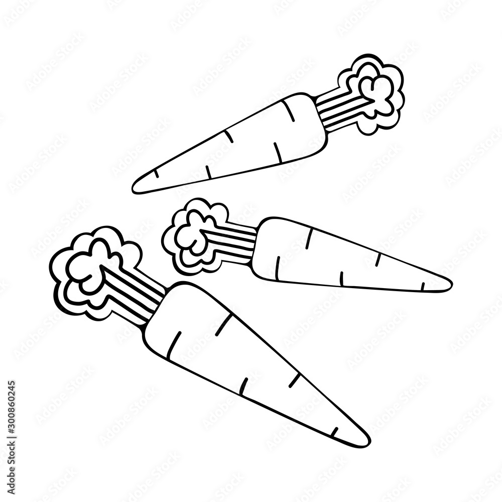 Carrot linear icon in vector. Agriculture plant. Salad ingredient. Vegetable farm. Vegan food. Organic food. Thin line illustration. Vegetable icon in black and white art line. Contour symbol. Carrot linear icon in vector. Agriculture plant. Salad ingredient. Vegetable farm. Vegan food. Organic food. Thin line illustration. Vegetable icon in black and white art line. Contour symbol.