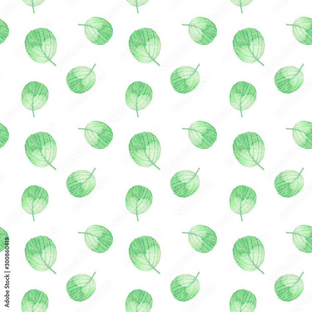 pattern with watercolor green round leaves on a white background. Great for textiles, packaging design, printing pattern with watercolor green round leaves on a white background. Great for textiles, packaging design, printing