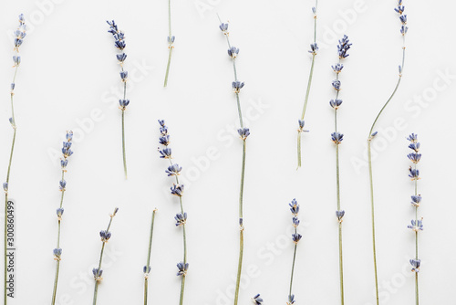Obraz na plátne top view of dry lavender twigs with flowers isolated on white