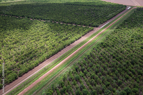 Oblique aerial view of sandalwood plantation in the Ord River Irrigation scheme at Kununurra in the Kimberley