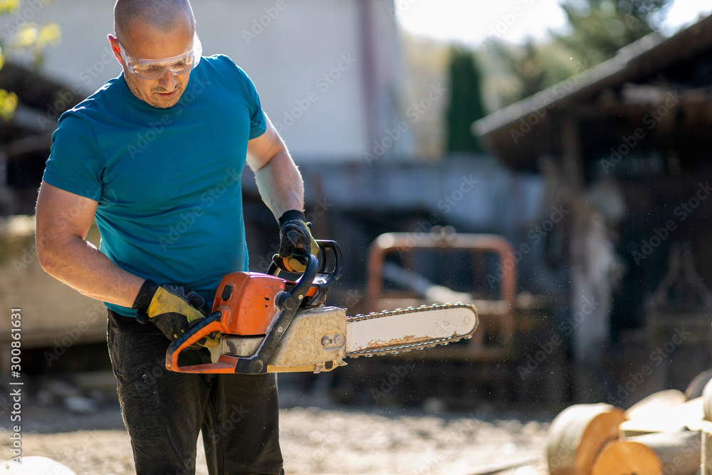 Strong lumberjack with chainsaw, working on beech logs Strong lumberjack with chainsaw, working on beech logs