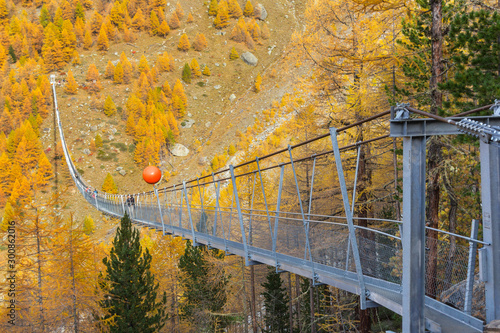 The Charles Kuonen suspension bridge in Mettertal, Valais, Switzerland in colorful autumn.  It is the longest hanging bridge for pedestrian use in the world. photo
